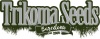 Trikoma Seeds
