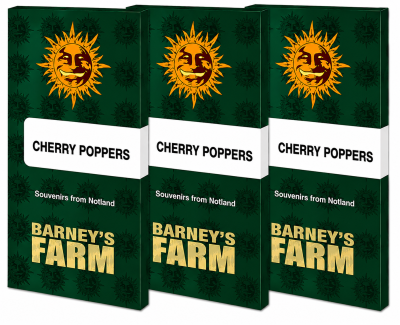 картинка Cherry Poppers от магазина Semki