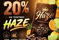-20% НА ВСЮ ГЕНЕТИКУ HAZE!, Новая -20% НА ВСЮ ГЕНЕТИКУ HAZE!, прочитать -20% НА ВСЮ ГЕНЕТИКУ HAZE!, -20% НА ВСЮ ГЕНЕТИКУ HAZE! от магазина Semki -20% НА ВСЮ ГЕНЕТИКУ HAZE! от магазина Semki