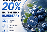 –20% НА ВСЮ ПОДБОРКУ BLUEBERRY!, Новая –20% НА ВСЮ ПОДБОРКУ BLUEBERRY!, прочитать –20% НА ВСЮ ПОДБОРКУ BLUEBERRY!, –20% НА ВСЮ ПОДБОРКУ BLUEBERRY! от магазина Semki –20% НА ВСЮ ПОДБОРКУ BLUEBERRY! от магазина Semki