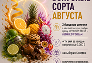 БОНУСНЫЕ СЕМЕНА В КАЖДЫЙ ЗАКАЗ!, Новая БОНУСНЫЕ СЕМЕНА В КАЖДЫЙ ЗАКАЗ!, прочитать БОНУСНЫЕ СЕМЕНА В КАЖДЫЙ ЗАКАЗ!, БОНУСНЫЕ СЕМЕНА В КАЖДЫЙ ЗАКАЗ! от магазина Semki БОНУСНЫЕ СЕМЕНА В КАЖДЫЙ ЗАКАЗ! от магазина Semki