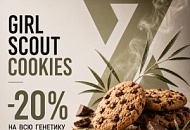 –20% НА ВСЮ ГЕНЕТИКУ GIRL SCOUT COOKIES, Новая –20% НА ВСЮ ГЕНЕТИКУ GIRL SCOUT COOKIES, прочитать –20% НА ВСЮ ГЕНЕТИКУ GIRL SCOUT COOKIES, –20% НА ВСЮ ГЕНЕТИКУ GIRL SCOUT COOKIES от магазина Semki –20% НА ВСЮ ГЕНЕТИКУ GIRL SCOUT COOKIES от магазина Semki