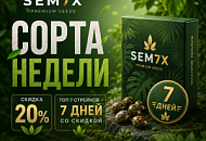 7 СОРТОВ → 7 ДНЕЙ → СКИДКА −20%!, Новая 7 СОРТОВ → 7 ДНЕЙ → СКИДКА −20%!, прочитать 7 СОРТОВ → 7 ДНЕЙ → СКИДКА −20%!, 7 СОРТОВ → 7 ДНЕЙ → СКИДКА −20%! от магазина Semki 7 СОРТОВ → 7 ДНЕЙ → СКИДКА −20%! от магазина Semki